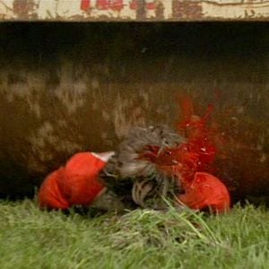 Foto Comboio do Terror