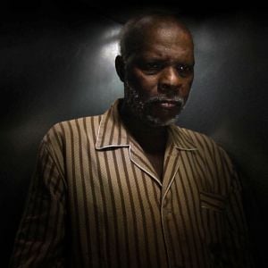 Foto Cavalo Dinheiro