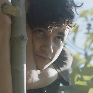 Foto À Sombra das Figueiras