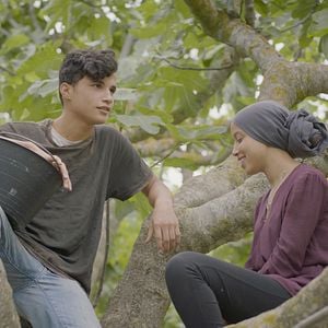 Foto À Sombra das Figueiras