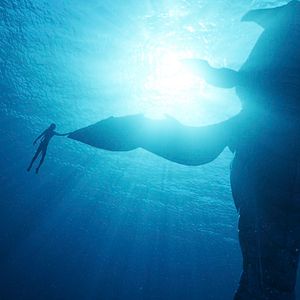 Foto Avatar: O Caminho da Água