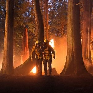 Foto Jordan Calloway