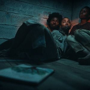 Foto Árvores da Paz