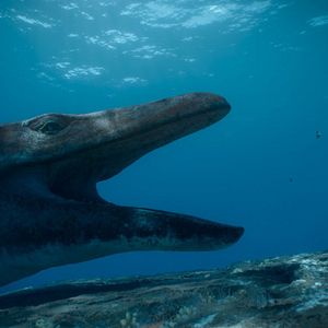 Foto Planeta Pre-Histórico