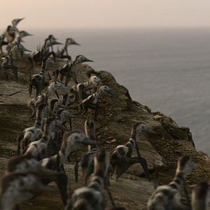 Foto Planeta Pre-Histórico