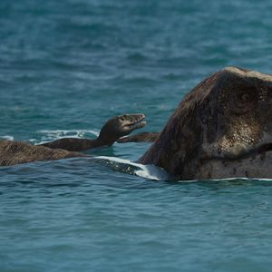 Foto Planeta Pre-Histórico