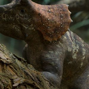 Foto Planeta Pre-Histórico