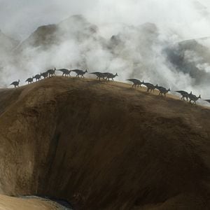 Foto Planeta Pre-Histórico
