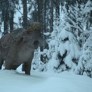 Foto Planeta Pre-Histórico