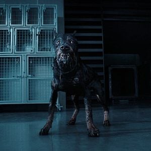 Foto Resident Evil: A Série