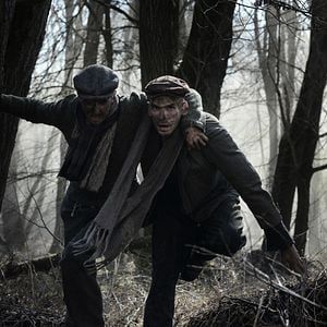 Foto O Protocolo de Auschwitz