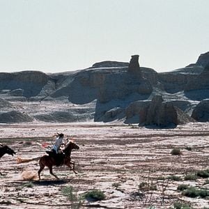 Foto O Tigre e o Dragão