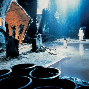 Foto O Tigre e o Dragão