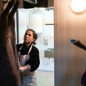 Foto Henriette Confurius