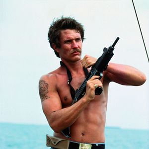 Foto Cães de Guerra