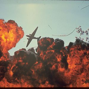 Foto Cães de Guerra