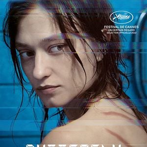 Foto Visão de uma Borboleta