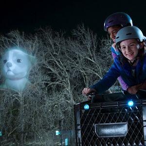 Foto Cachorrinhos de Outro Mundo