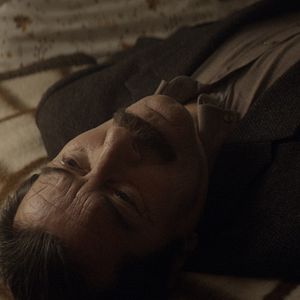 Foto Anadolu Leoparı