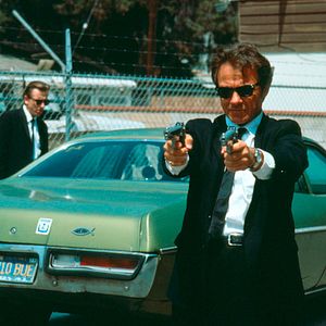 Foto Cães de Aluguel