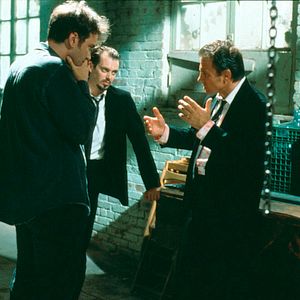 Foto Cães de Aluguel