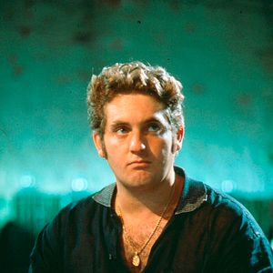 Foto Cães de Aluguel