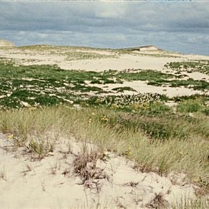 Foto Geographies Of Solitude