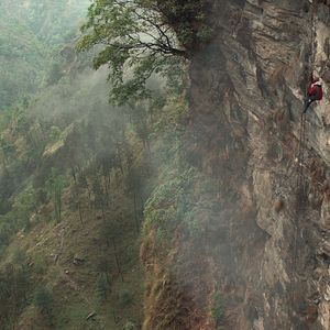 Foto O Menino e o Tigre