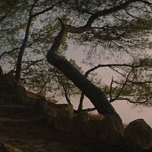 Foto Élodie Bouchez