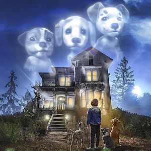 Foto Cachorrinhos de Outro Mundo