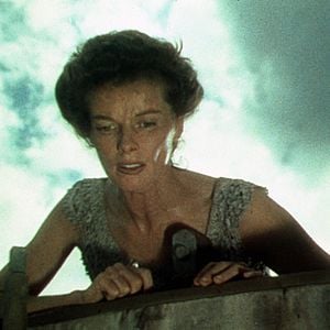 Foto Uma Aventura na África