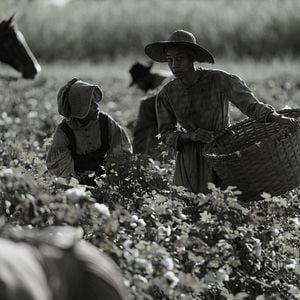Foto Emancipation - Uma História de Liberdade