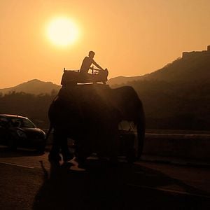 Foto Muco: Contradição na Tradição