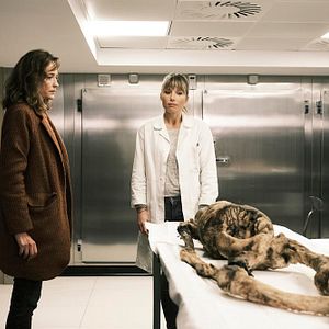 Foto Hélène de Fougerolles