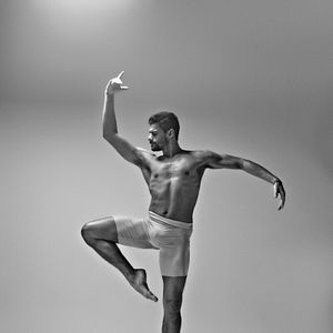 Foto Um Lobo Entre Os Cisnes