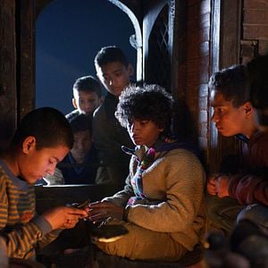 Foto O Menino e o Tigre