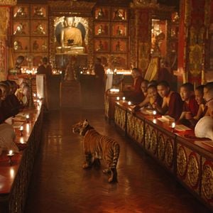 Foto O Menino e o Tigre