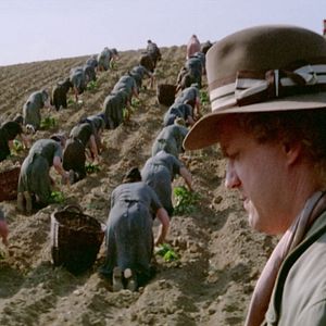 Foto Os Irresistíveis Falsários