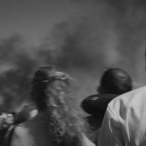 Foto Iron Butterflies