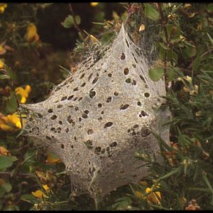 Foto Notes from Eremonce