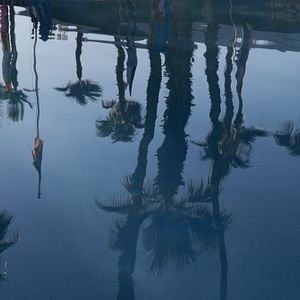 Foto This Is the End