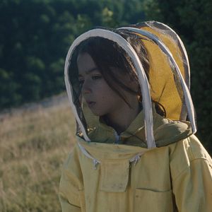 Foto 20.000 Espécies de Abelhas	