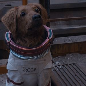 Foto Guardiões da Galáxia Vol. 3