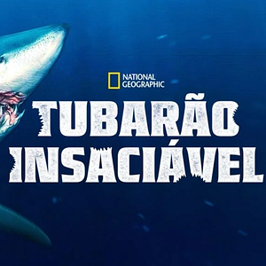 Foto Tubarão Insaciável