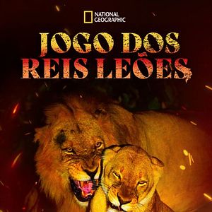 Foto Jogo dos Reis Leões