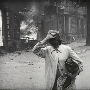 Foto A História Natural da Destruição