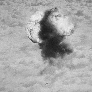 Foto A História Natural da Destruição