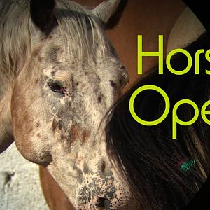 Foto Horse Opera