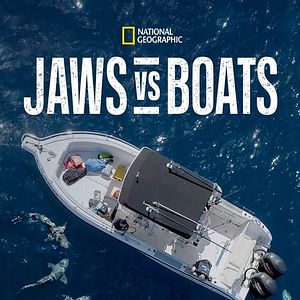 Foto Tubarões vs. Embarcações