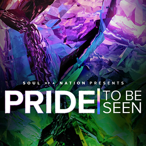 Foto PRIDE | To Be Seen: A Soul of a Nation Presentation